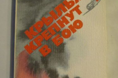 Крылья крепнут в бою