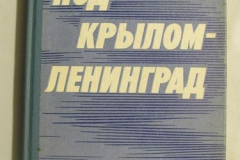 Под крылом - Ленинград