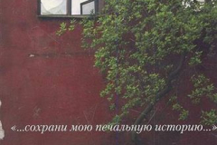 Сохрани мою печальную историю