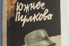 Южнее Пулкова