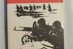 Бойцы Выборгской стороны